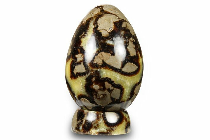 Polished Septarian Egg with Stand - Madagascar #260946